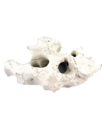 Piedras HULSTEN HVIDE