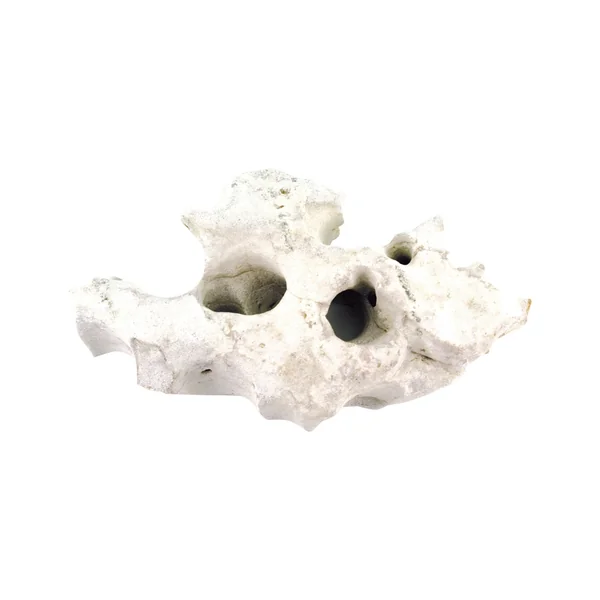 Piedras HULSTEN HVIDE