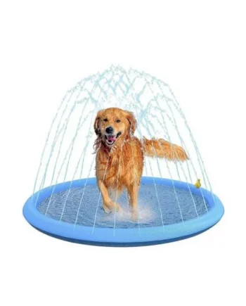 Piscina con Chorros para Perros