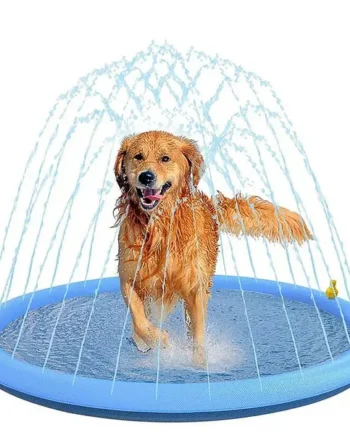 Piscina de baño con rociador de agua para mascota
