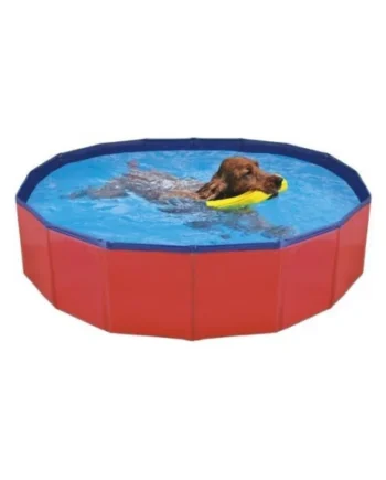 Piscina Rígida para Perros sin Hinchar