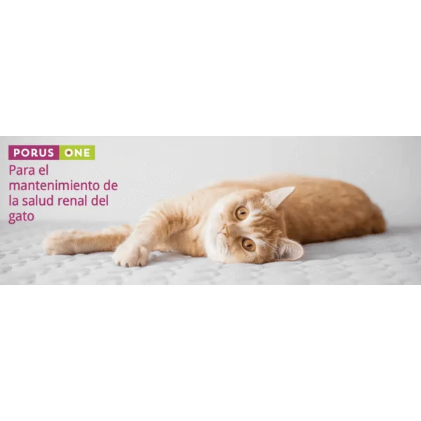 Porus One Salud RENAL gatos 30 x 500 mg