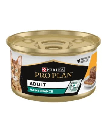 Pro Plan Adult Maintenance Pollo Tarrina Gatos