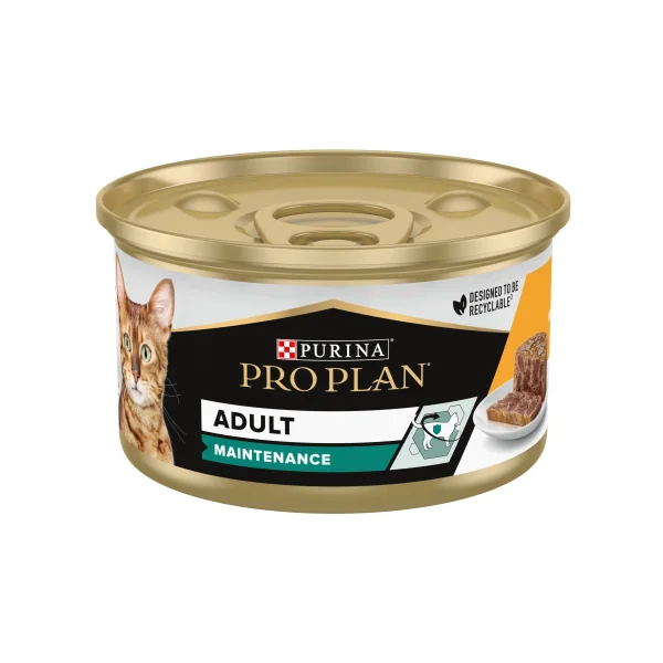 Pro Plan Adult Maintenance Pollo Tarrina Gatos