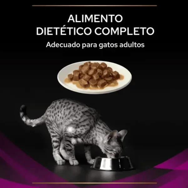 Pro Plan urinary pouch Pollo vet feline gatos 10x85 g
