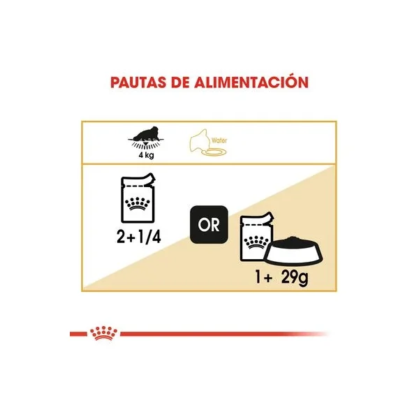Productos Para Gatos garantiza calidad y valor - Descubre nuestra colección de Royal Canin Breed Persian.