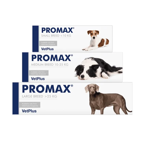 PROMAX antidiarréico en crema para perros y gatos