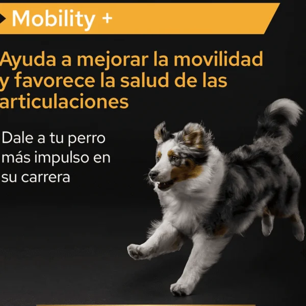 Proplan Mobility + suplemento articular perros 60 g