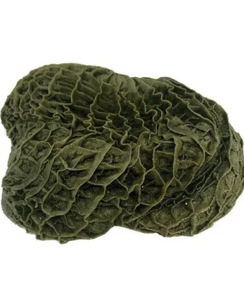 Puromenu Picado de Tripa Verde BIO de Vacuno 500g