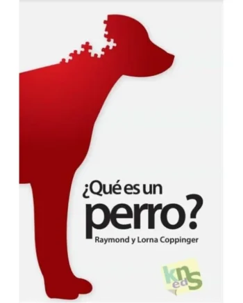 ¿Qué es un perro?