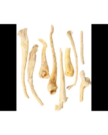 Rabo de cordero 200gr