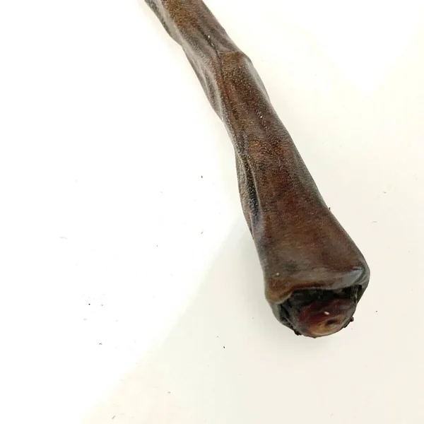 Rabo de ternera XL 40-60 cm
