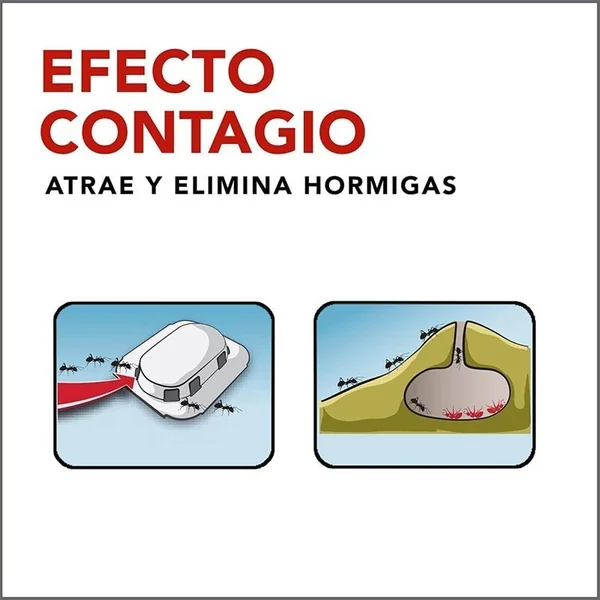 Raid cebo hormigas