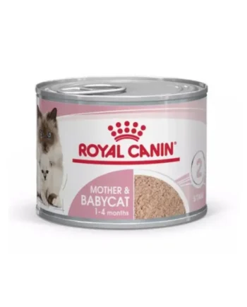 RC Mother & Babycat Gato Mousse Latas