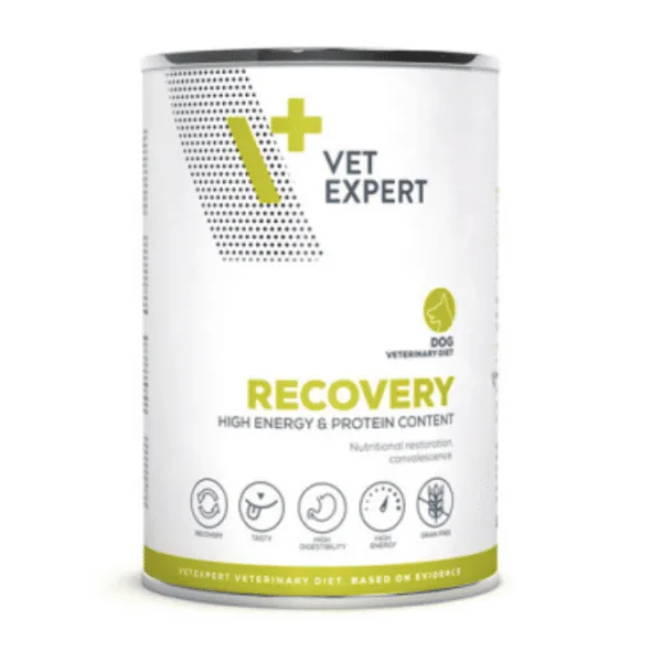 RECOVERY dog lata VetExpert perros 6x400 g
