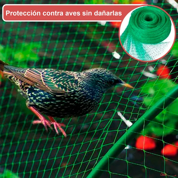 Red Anti Pájaros 4x6 Metros Verde