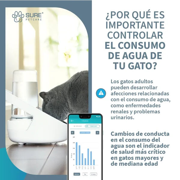 Regala una sorpresa de cumpleaños significativa de Bebedero Inteligente Felaqua Connect de Productos Para Gatos.