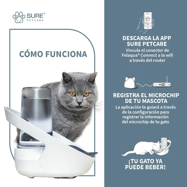 Regala una sorpresa de cumpleaños significativa de Bebedero Inteligente Felaqua Connect de Productos Para Gatos.