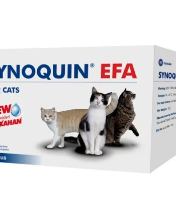Regalos asequibles y apreciados de Synoquin Condroprotector Articular En Gatos para familiares y amigos.