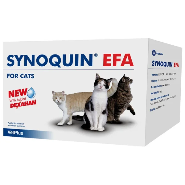 Regalos asequibles y apreciados de Synoquin Condroprotector Articular En Gatos para familiares y amigos.