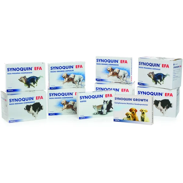 Regalos asequibles y apreciados de Synoquin Condroprotector Articular En Gatos para familiares y amigos.