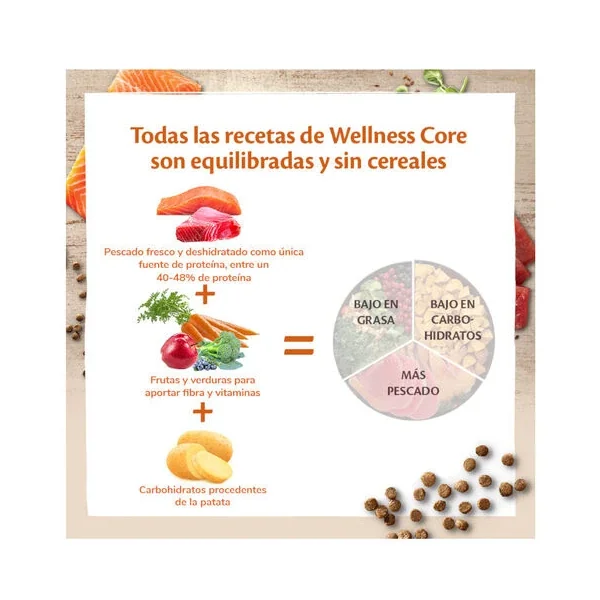Regalos asequibles y apreciados de Wellness Core Adult Ocean Salmón Y Atún Pienso Para Gatos para familiares y amigos.