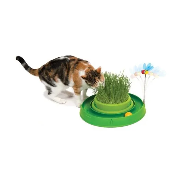Regalos de Catit Play Circuito Germinador para toda ocasión - Ideal para cualquier celebración Málaga España.