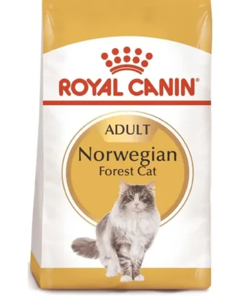 Regalos de moda para Navidad: ROYAL CANIN Norweigan Forest Pienso Para Gato Adulto Bosque De Noruega ahora en Productos Para Gatos en Madrid España.