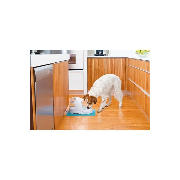 Regalos de Navidad asequibles de alta calidad en Productos Para Gatos: Fuente Platinum.