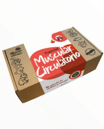 Ribero Buffet Healthy Muscular y Circulatorio