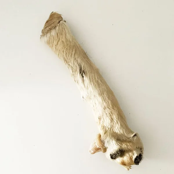 Rollo de piel de vacuno con pezuña