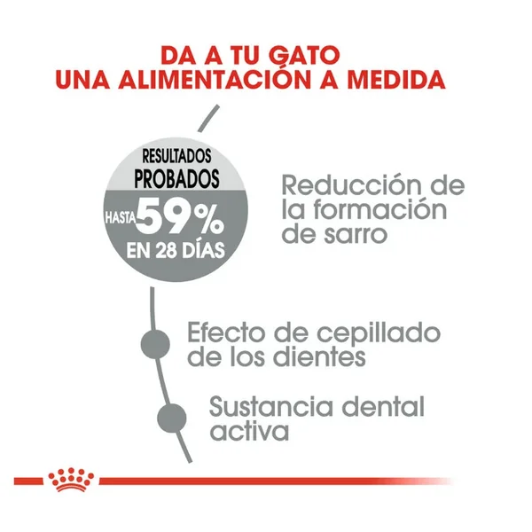 Royal Canin Adult Oral Pienso Para Gatos asequible y de alta calidad disponible ahora.