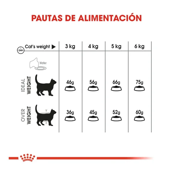 Royal Canin Adult Oral Pienso Para Gatos asequible y de alta calidad disponible ahora.