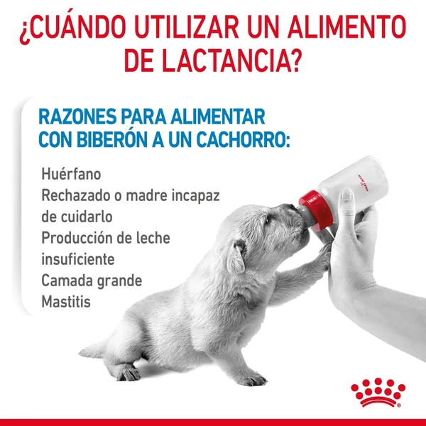 Royal Canin Babydog Milk Leche en Polvo para Cachorros