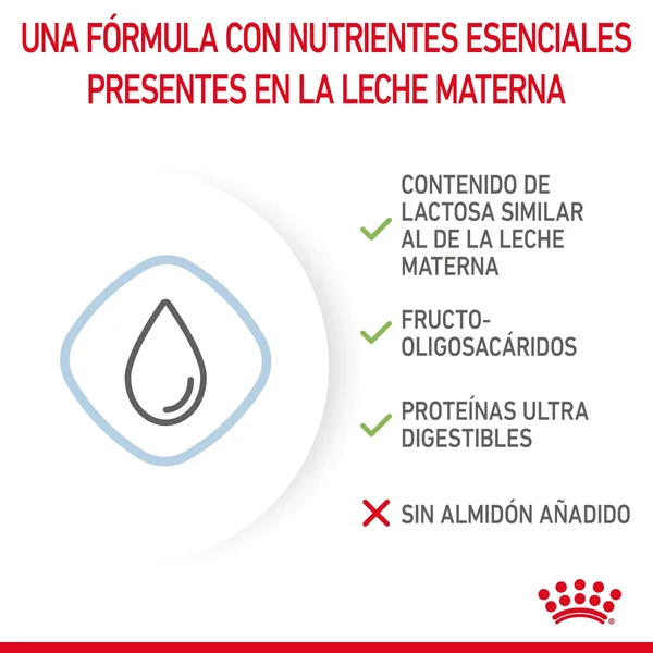 Royal Canin Babydog Milk Leche en Polvo para Cachorros