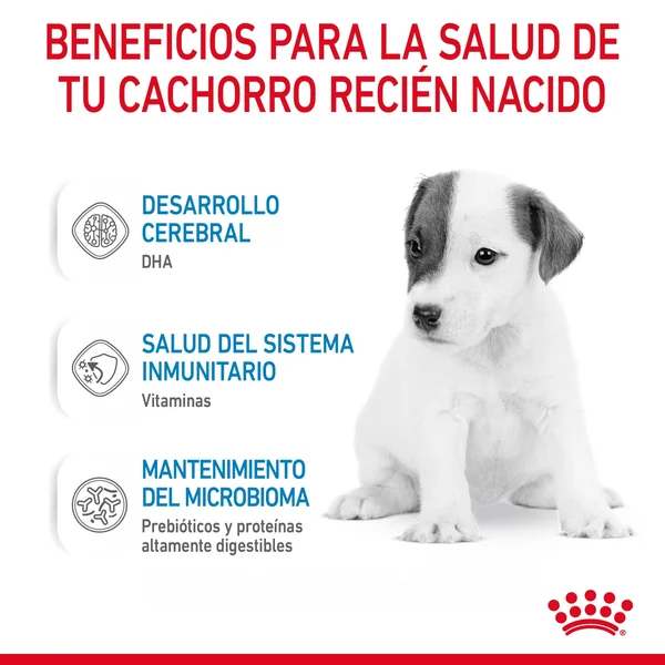 Royal Canin Babydog Milk Leche en Polvo para Cachorros