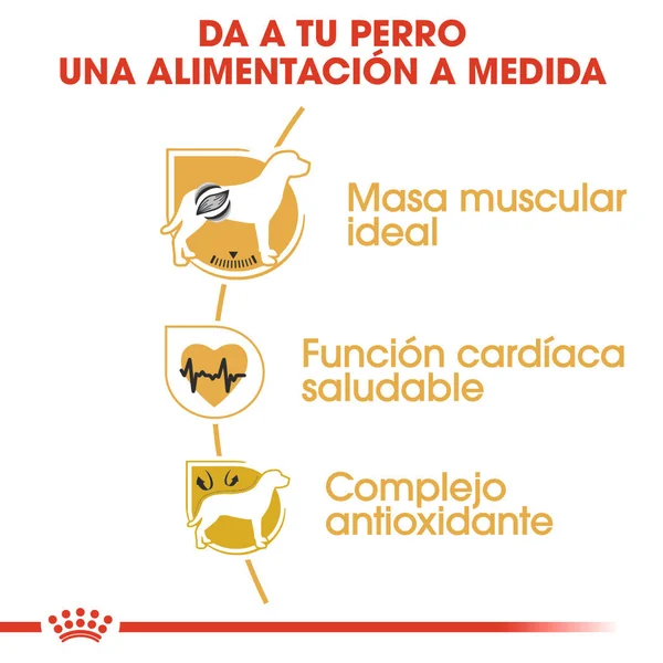Royal Canin Boxer Pienso para Perros de Raza