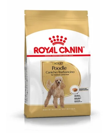 Royal Canin Caniche Poodle Pienso para Perros de Raza