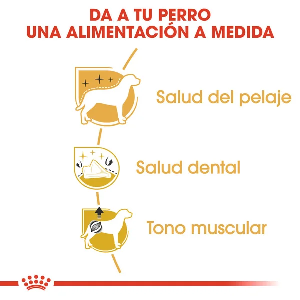 Royal Canin Caniche Poodle Pienso para Perros de Raza