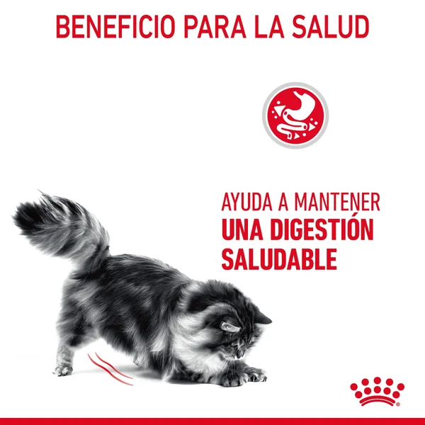 Royal Canin Digestive Care Pienso para Gatos