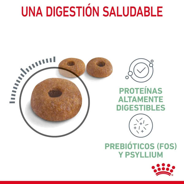 Royal Canin Digestive Care Pienso para Gatos