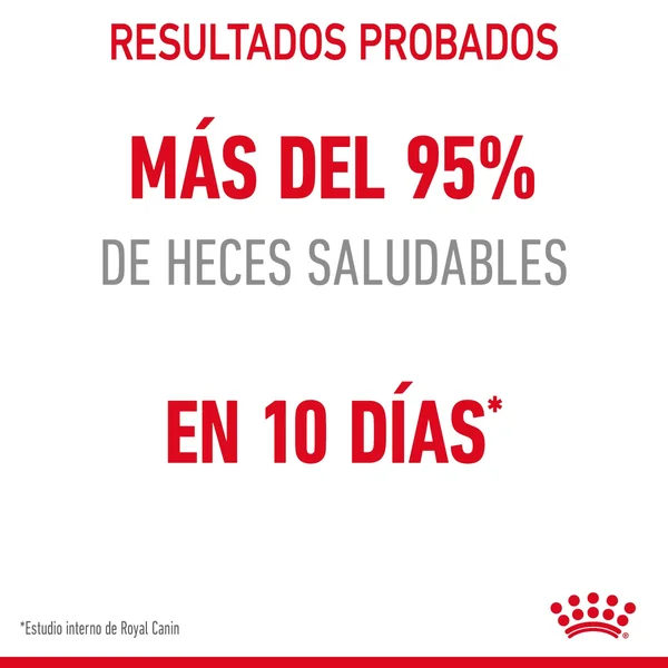 Royal Canin Digestive Care Pienso para Gatos