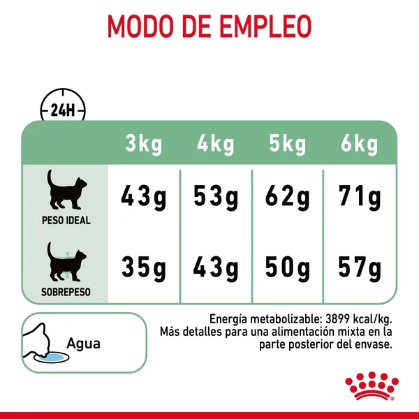 Royal Canin Digestive Care Pienso para Gatos