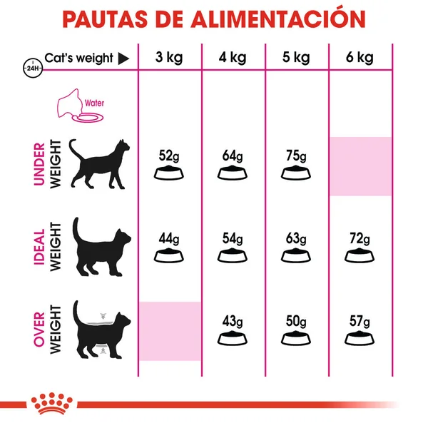 Royal Canin Fit 32 Pienso Seco para Gatos Adultos