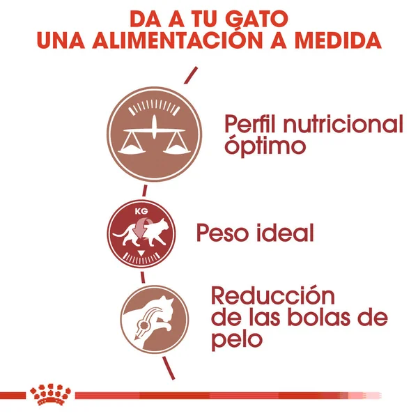 Royal Canin Fit 32 Pienso Seco para Gatos Adultos