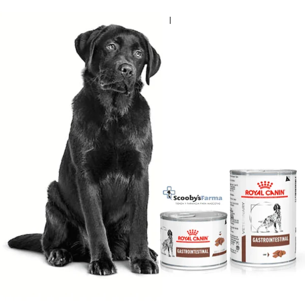 Royal Canin Gastrointestinal perros lata