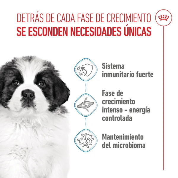 Royal Canin Giant Puppy Pienso para Cachorros de Raza Grande