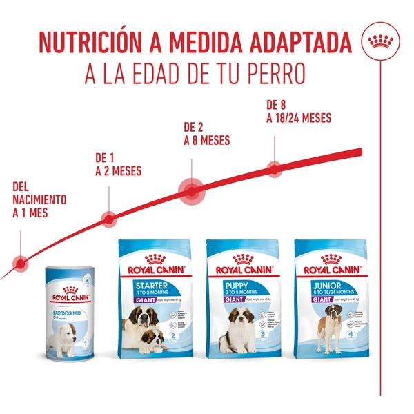 Royal Canin Giant Puppy Pienso para Cachorros de Raza Grande