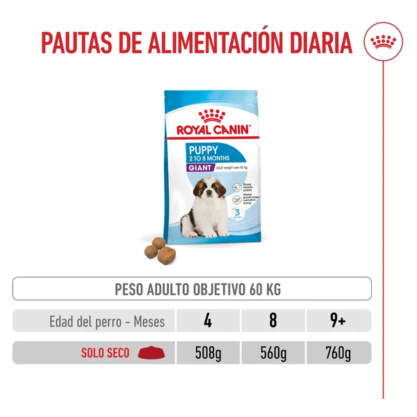 Royal Canin Giant Puppy Pienso para Cachorros de Raza Grande
