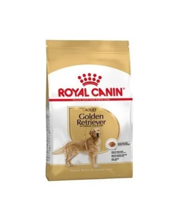 Royal Canin Golden Retriever Adulto